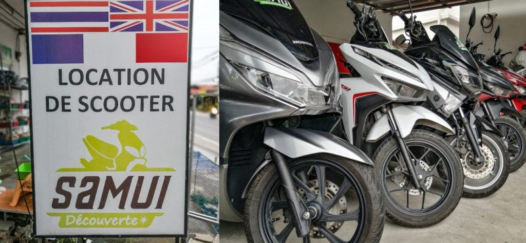 Location de scooters à Koh Samui, Samui Découverte