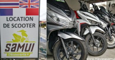 Location de scooters à Koh Samui, Samui Découverte