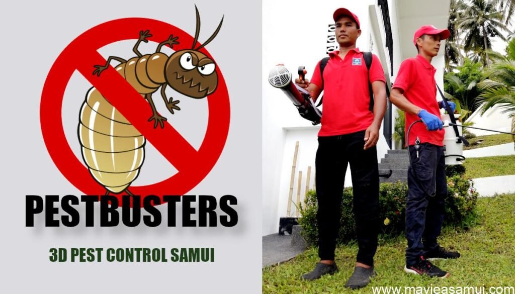 3D Pest Control Samui - Entreprise de désinsectisation, dératisation et désinfection a Koh Samui (Thaïlande)