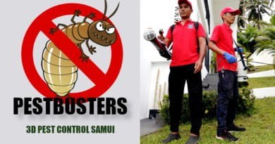 3D Pest Control Samui - Entreprise de désinsectisation, dératisation et désinfection a Koh Samui (Thaïlande)