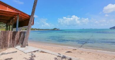 The French New Kiss, restaurant belge de poissons frais et cuisine thai a Thanod dans le sud de l'ile de Koh Samui.