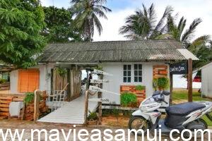 Café déco, Plage de Ban Tai, Macramé en décoration sur la plage, Cocotier avec noix de coco sur la plage de Ban Thai, Plage de sable, Thai Food, Pad Thai sea Food, Cafe de Cool nomme egalement The Vibe et aussi Relax Samui dans le nord de l'ile de Koh Samui a Ban Tai.