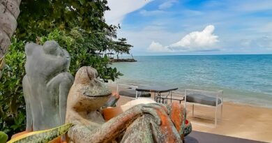 Café de Cool – The Vibe – Relax Samui Cafe de Cool nomme egalement The Vibe et aussi Relax Samui dans le nord de l'ile de Koh Samui a Ban Tai.