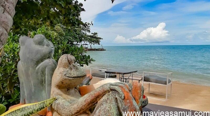 Cafe de Cool nomme egalement The Vibe et aussi Relax Samui dans le nord de l'ile de Koh Samui a Ban Tai.