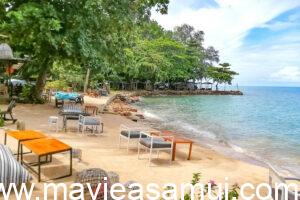 Terrasse sur la plage au Café de Cool, Café déco, Plage de Ban Tai, Macramé en décoration sur la plage, Cocotier avec noix de coco sur la plage de Ban Thai, Plage de sable, Thai Food, Pad Thai sea Food, Cafe de Cool nomme egalement The Vibe et aussi Relax Samui dans le nord de l'ile de Koh Samui a Ban Tai.