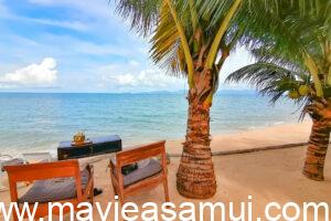 Table et chaises sur la plage au Café de Cool, Café déco, Plage de Ban Tai, Macramé en décoration sur la plage, Cocotier avec noix de coco sur la plage de Ban Thai, Plage de sable, Thai Food, Pad Thai sea Food, Cafe de Cool nomme egalement The Vibe et aussi Relax Samui dans le nord de l'ile de Koh Samui a Ban Tai.