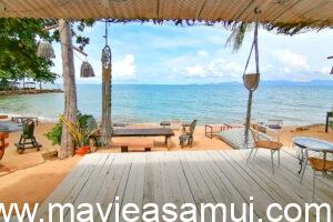 Terrasse sur la plage au Café de Cool, Café déco, Plage de Ban Tai, Macramé en décoration sur la plage, Cocotier avec noix de coco sur la plage de Ban Thai, Plage de sable, Thai Food, Pad Thai sea Food, Cafe de Cool nomme egalement The Vibe et aussi Relax Samui dans le nord de l'ile de Koh Samui a Ban Tai.