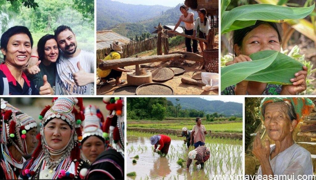 Thaïlande Evasion, une agence de voyage franco-thaïlandaise proposant des circuits dans toute la Thaïlande.