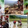 Thaïlande Evasion, une agence de voyage franco-thaïlandaise proposant des circuits dans toute la Thaïlande.