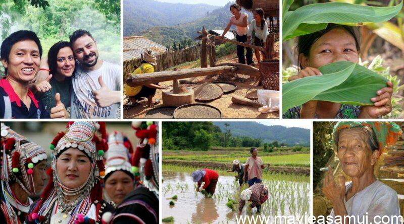 Thaïlande Evasion, une agence de voyage franco-thaïlandaise proposant des circuits dans toute la Thaïlande.