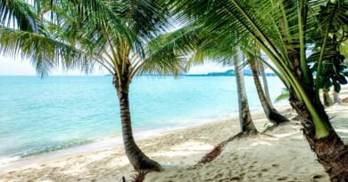 Idylliques Maenam Resort et Toh Kin Khao Restaurant Sur La Plage