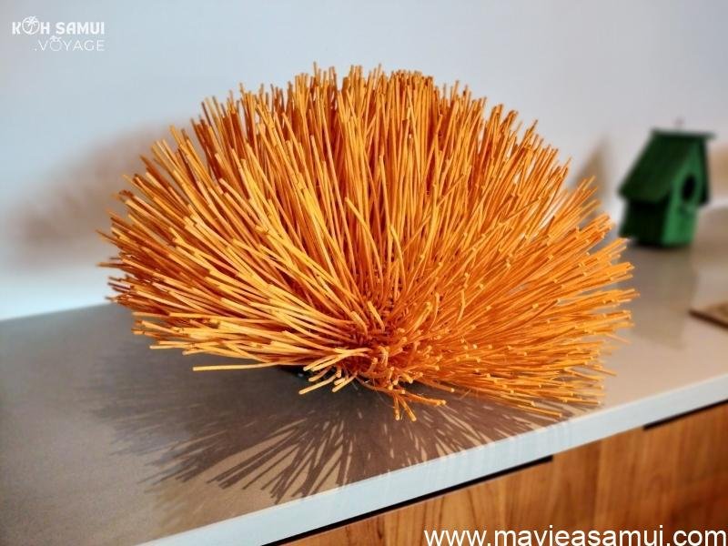 Objet de deco. La boutique en rez-de-chaussée propose des meubles contemporains ainsi que des objets de décoration. A l'étage se trouvent 3 pièces avec du mobilier contemporain.