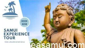 Samui Experience Tour est une visite guidée en français de l'île de Koh Samui en Thaïlande du sud, avec l'agence locale francophone Koh Samui Voyage Co Ltd.