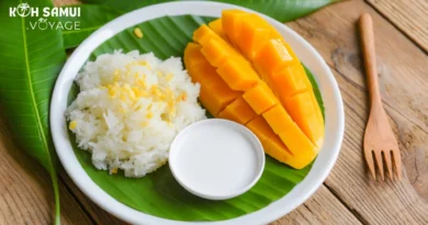 Découvrez le délicieux Mango Sticky Rice à Koh Samui en Thaïlande