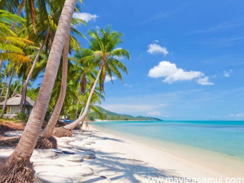 Denis Lantheaume, l'agence Immobilière Française "DL Samui Properties", Koh Samui, Thaïlande du sud.