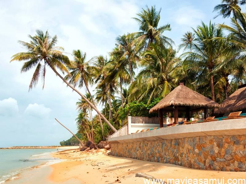 Denis Lantheaume, l'agence Immobilière Française "DL Samui Properties", Koh Samui, Thaïlande du sud.
