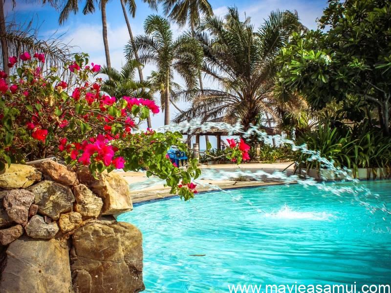 Denis Lantheaume, l'agence Immobilière Française "DL Samui Properties", Koh Samui, Thaïlande du sud.