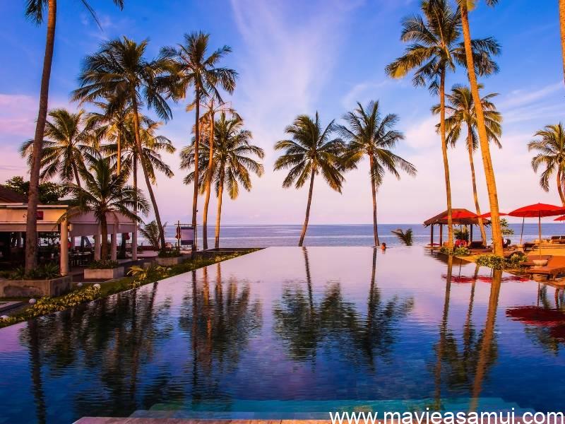 Denis Lantheaume, l'agence Immobilière Française "DL Samui Properties", Koh Samui, Thaïlande du sud.