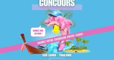 Concours Saint-Valentin Koh Samui : Gagnez une excursion privée avec le Dauphin Rose.