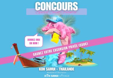 Concours Saint-Valentin Koh Samui : Gagnez une excursion privée avec le Dauphin Rose.