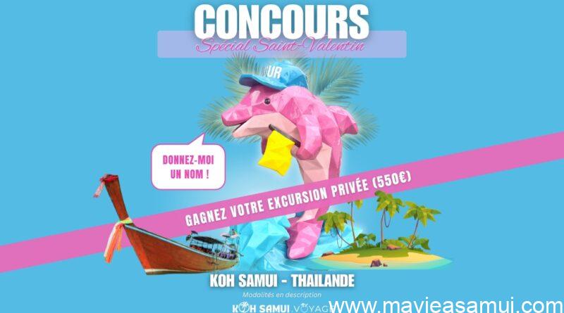 Concours Saint-Valentin Koh Samui : Gagnez une excursion privée avec le Dauphin Rose.